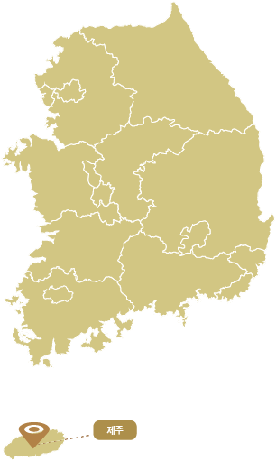 더원메디텍.png